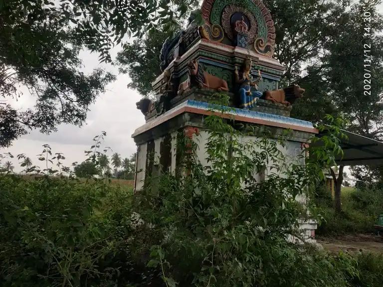 Arulmigu Pidariyar Temple, Pathangi - 621117 அருள்மிகு பிடாரியார் திருக்கோயில், Pathangi - 621117, Perambalur - Ancient Temple Architecture and History Image 2