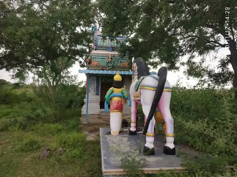 Arulmigu Pidariyar Temple, Pathangi - 621117 அருள்மிகு பிடாரியார் திருக்கோயில், Pathangi - 621117, Perambalur - Ancient Temple Architecture and History Image 4