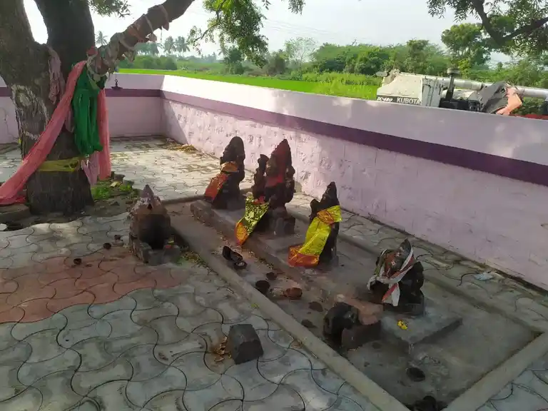 Arulmigu Pidariyar Temple, Peelvadi - 621708 Arulmigu Pidariyar Temple, Peelvadi - 621708, Perambalur - Ancient Temple Architecture and History Image 3