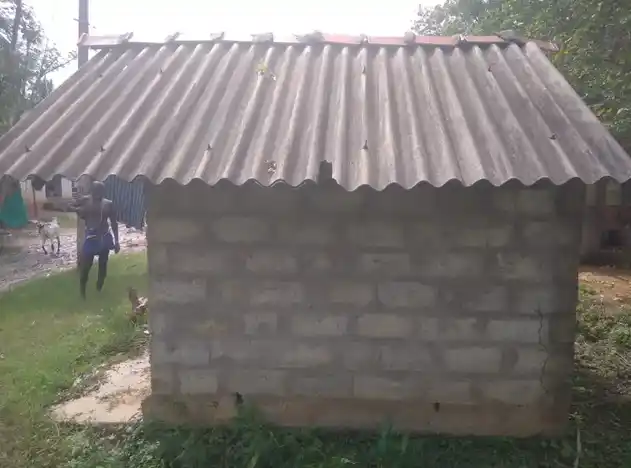 Arulmigu Pidariyar Temple, Periyakrishnapuram - 621805 அருள்மிகு பிடாரியார் திருக்கோயில், Periyakrishnapuram - 621805, Ariyalur - Ancient Temple Architecture and History Image 2