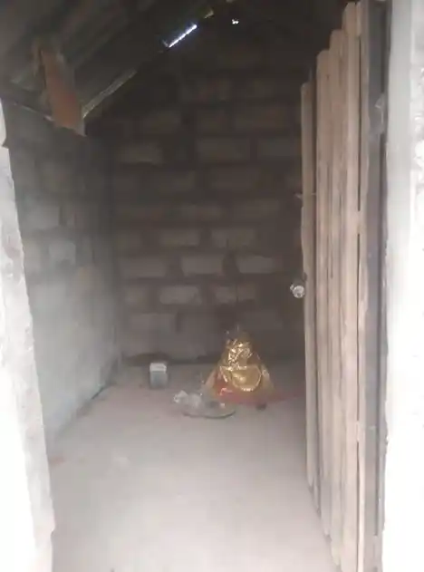 Arulmigu Pidariyar Temple, Periyakrishnapuram - 621805 அருள்மிகு பிடாரியார் திருக்கோயில், Periyakrishnapuram - 621805, Ariyalur - Ancient Temple Architecture and History Image 4