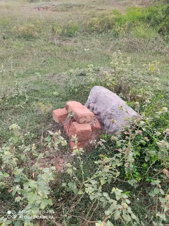 Arulmigu Pidariyar Temple, Periyathathur - 621805 அருள்மிகு பிடாரியார் மாணிக்கநாச்சியார் திருக்கோயில், Periyathathur - 621805, Ariyalur - Ancient Temple Architecture and History Image 3