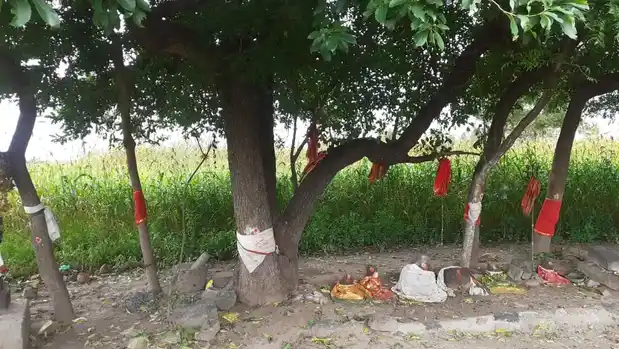 Arulmigu Pidariyar Temple, Prammadesam - 621115 Temple