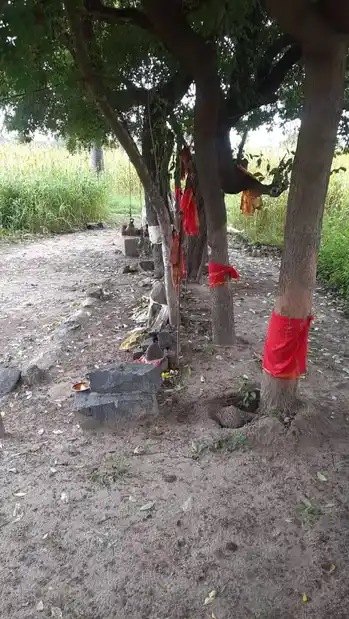 Arulmigu Pidariyar Temple, Prammadesam - 621115 Arulmigu Pidariyar Temple, Prammadesam - 621115, Perambalur - Ancient Temple Architecture and History Image 2