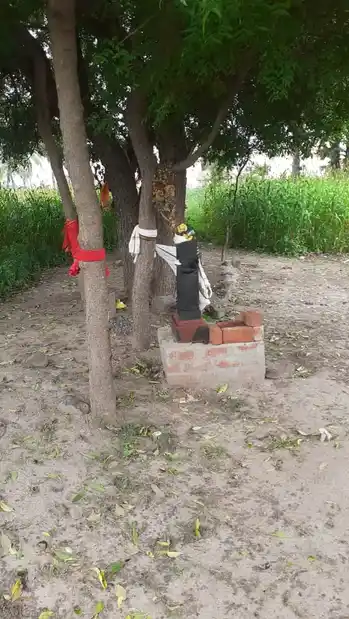 Arulmigu Pidariyar Temple, Prammadesam - 621115 Arulmigu Pidariyar Temple, Prammadesam - 621115, Perambalur - Ancient Temple Architecture and History Image 4