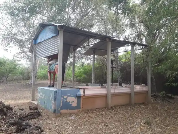 Arulmigu Pidariyar Temple, Puthukottai - 621851 அருள்மிகு பிடாரியார் திருக்கோயில், Puthukottai - 621851, Ariyalur - Ancient Temple Architecture and History Image 3