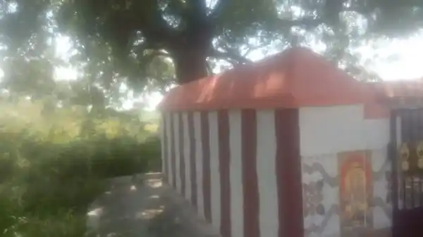 Arulmigu Pidariyar Temple, Rediyapatti - 621001 Arulmigu Pidariyar Temple, Rediyapatti - 621001, Thiruchirappalli - Ancient Temple Architecture and History Image 3