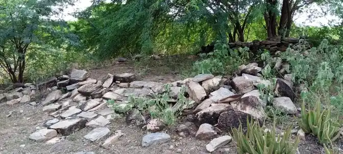 Arulmigu Pidariyar Temple, Sirugudi - 621006 அருள்மிகு பிடாரியார் திருக்கோயில், சிறுகுடி - 621006, Thiruchirappalli - Ancient Temple Architecture and History Image 2