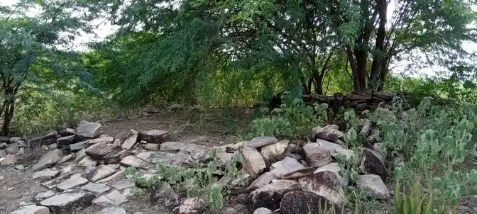 Arulmigu Pidariyar Temple, Sirugudi - 621006 அருள்மிகு பிடாரியார் திருக்கோயில், சிறுகுடி - 621006, Thiruchirappalli - Ancient Temple Architecture and History Image 3