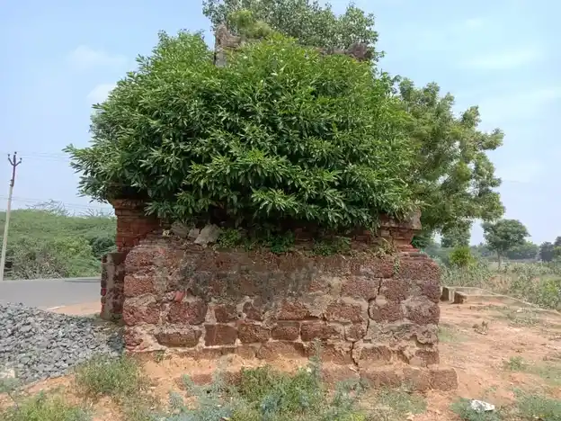 Arulmigu Pidariyar Temple, T.Palur - 612904 அருள்மிகு பிடாரியார் திருக்கோயில், T.Palur, T.Palur - 612904, Ariyalur - Ancient Temple Architecture and History Image 2