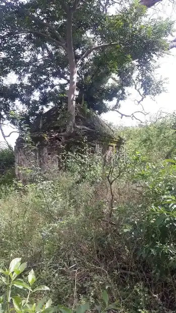 Arulmigu Pidariyar Temple, Thambai - 621115 Arulmigu Pidariyar Temple, Thambai - 621115, Perambalur - Ancient Temple Architecture and History Image 4