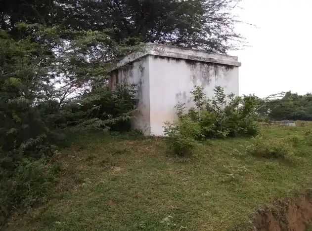 Arulmigu Pidariyar Temple, Thirukalapur - 621805 அருள்மிகு பிடாரியார் திருக்கோயில், Thirukalapur - 621805, Ariyalur - Ancient Temple Architecture and History Image 2