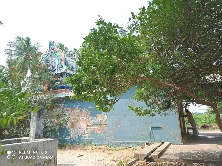 Arulmigu Pidariyar Temple, Thirumazhapadi - 621851 அருள்மிகு பிடாரியார் திருக்கோயில், Thirumazhapadi - 621851, Ariyalur - Ancient Temple Architecture and History Image 3