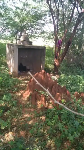 Arulmigu Pidariyar Temple, Ulliyakudi - 621704 அருள்மிகு பிடாரியார் திருக்கோயில், Ulliyakudi - 621704, Ariyalur - Ancient Temple Architecture and History Image 3