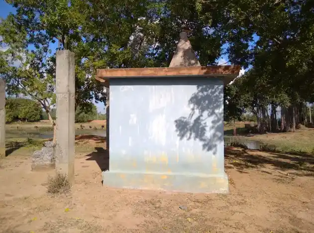 Arulmigu Pidariyar Temple, Vadavekkam, Ariyalur - 621803 Arulmigu Pidariyar Temple, Vadavekkam, Ariyalur - 621803, Ariyalur - Ancient Temple Architecture and History Image 3