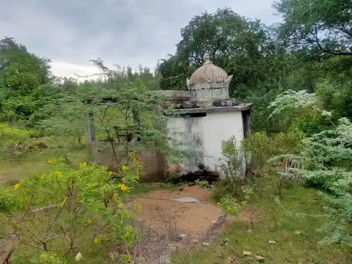 Arulmigu Pidariyar Temple, Vangaram - 621709 அருள்மிகு பிடாரியார் திருக்கோயில், வங்காரம் - 621709, Ariyalur - Ancient Temple Architecture and History Image 3