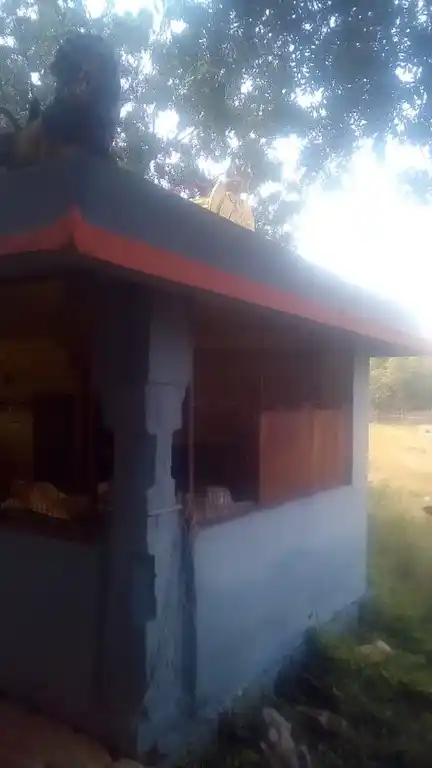 Arulmigu Pidariyar Temple, Vanjinapuram - 621714 அருள்மிகு பிடாரியார் திருக்கோயில், Vanjinapuram - 621714, Ariyalur - Ancient Temple Architecture and History Image 2