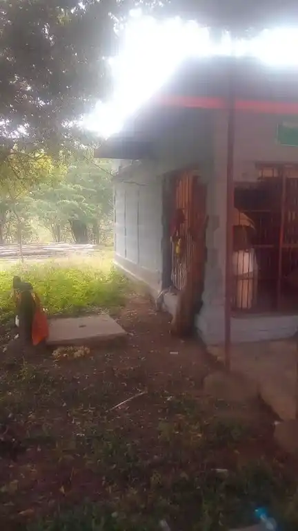 Arulmigu Pidariyar Temple, Vanjinapuram - 621714 அருள்மிகு பிடாரியார் திருக்கோயில், Vanjinapuram - 621714, Ariyalur - Ancient Temple Architecture and History Image 3