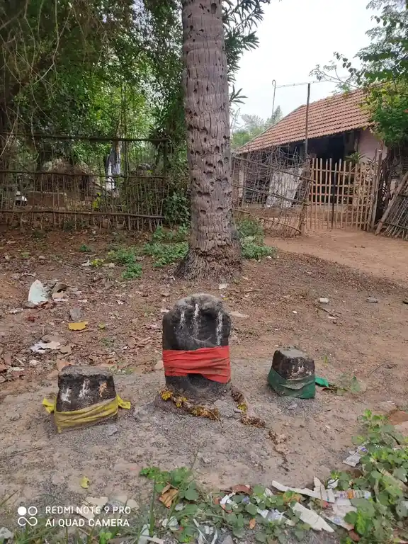 Arulmigu Pidariyar Temple, Vilanthai - 621801 அருள்மிகு பிடாரியார் திருக்கோயில், விளந்தை ஆண்டிமடம் - 621801, Ariyalur - Ancient Temple Architecture and History Image 4