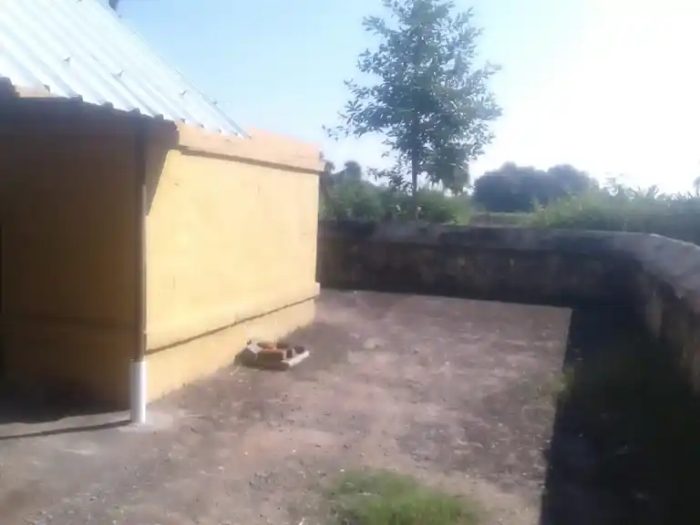 Arulmigu Pidriamman Temple, Thaththanur - 606709 அருள்மிகு பிடாரியம்மன் திருக்கோயில், Thaththanur - 606709, Tiruvannamalai - Ancient Temple Architecture and History Image 4