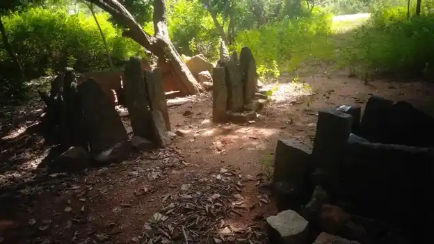Arulmigu Pilakkudi Ayyanar Temple, Thirukolakudi - 630405 அருள்மிகு. பிலாவடி அய்யனார் திருக்கோயில், Thirukolakudi - 630405, Sivagangai - Ancient Temple Architecture and History Image 2