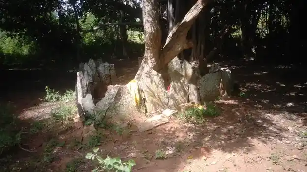 Arulmigu Pilakkudi Ayyanar Temple, Thirukolakudi - 630405 அருள்மிகு. பிலாவடி அய்யனார் திருக்கோயில், Thirukolakudi - 630405, Sivagangai - Ancient Temple Architecture and History Image 3
