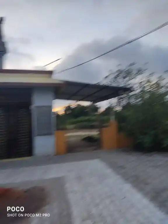 Arulmigu Pillaiyar Angalamman Chellyamman Aayiamman Veerabathirar Temple, Thirupanangadu - 604410 அருள்மிகு பிள்ளையார், அங்காளம்மன், செல்லியம்மன், ஆயியம்மன், வீரபத்திரசுவாமி திருக்கோயில், Thirupanangadu - 604410, Tiruvannamalai - Ancient Temple Architecture and History Image 5