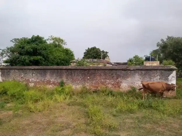 Arulmigu Pillaiyar Dharamarajar Ammachar Temple, Kannakurukkai - 606701 அருள்மிகு பிள்ளையார், தர்மராஜர், அம்மச்சார் திருக்கோயில், Kannakurukkai - 606701, Tiruvannamalai - Ancient Temple Architecture and History Image 4