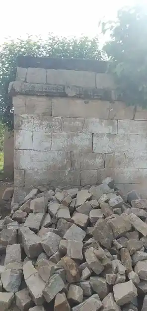 Arulmigu Pillaiyar Temple, Aariyur - 622102 அருள்மிகு பிள்ளையார் திருக்கோயில், Aariyur - 622102, Pudukkottai - Ancient Temple Architecture and History Image 4