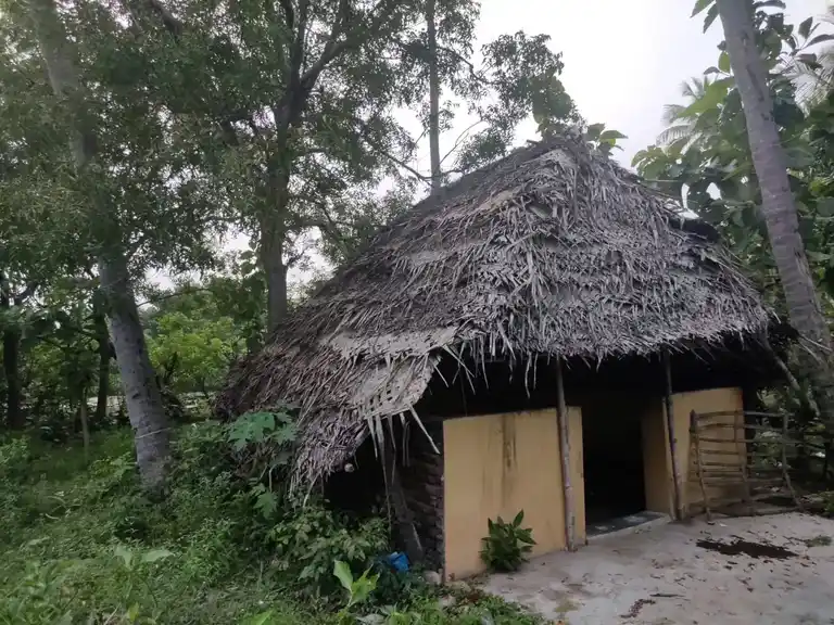 Arulmigu Pillaiyar Temple, Agaramathur - 609608 அருள்மிகு பிள்ளையார் திருக்கோயில், Agaramathur - 609608, Thiruvarur - Ancient Temple Architecture and History Image 2