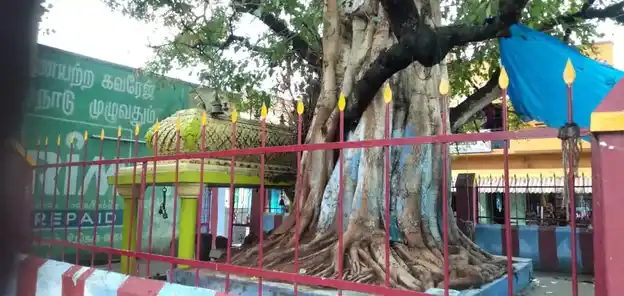 Arulmigu Pillaiyar Temple, Jalagantapuram, Avadathur - 636501 Temple