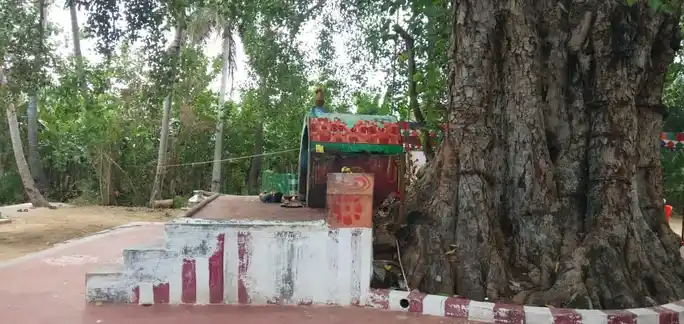 Arulmigu Pillaiyar Temple, Kalluppatti - 639107 அருள்மிகு பிள்ளையார் திருக்கோயில்,  - 639107, Karur - Ancient Temple Architecture and History Image 2