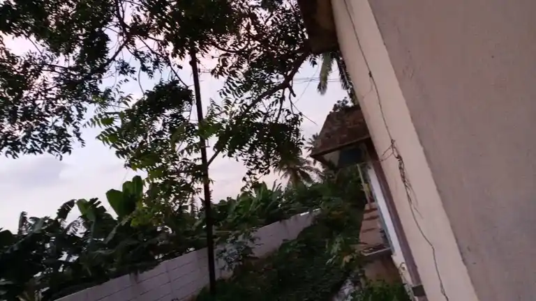 Arulmigu Pillaiyar Temple, Kumaravayalur - 620017 Arulmigu Pillaiyar Temple, Kumaravayalur - 620017, Thiruchirappalli - Ancient Temple Architecture and History Image 3