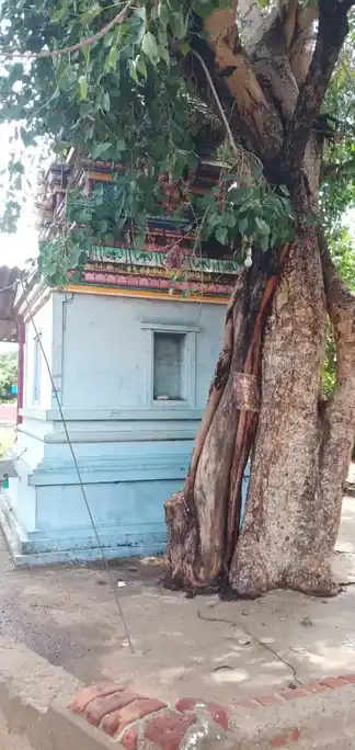 Arulmigu Pillaiyar Temple, Maniyakaratheru, Thiruchirappalli - 620013 அருள்மிகு பிள்ளையார் திருக்கோயில், மணியக்காரத்தெரு, திருச்சிராப்பள்ளி - 620013, Thiruchirappalli - Ancient Temple Architecture and History Image 4