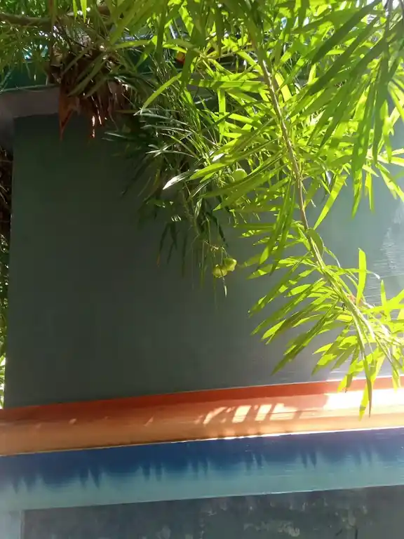 Arulmigu Pillaiyar Temple, Nallan Pillaipetral - 606751 அருள்மிகு பிள்ளையார் திருக்கோயில், Nallan Pillaipetral - 606751, Tiruvannamalai - Ancient Temple Architecture and History Image 4