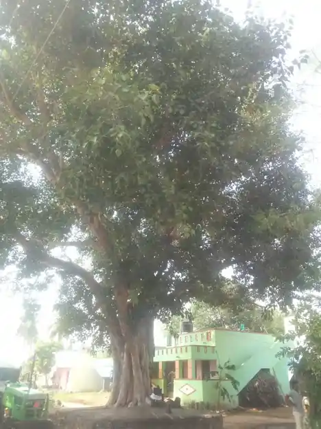 Arulmigu Pillaiyar Temple, Nayampadi - 606702