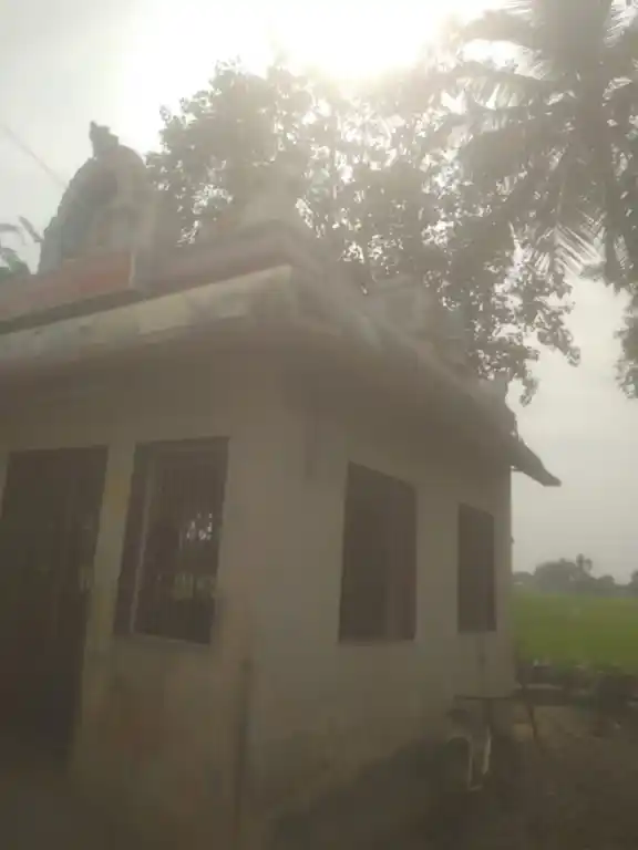 Arulmigu Pillaiyar Temple, Panayakurichi - 620010 Arulmigu Pillaiyar Temple, Panayakurichi - 620010, Thiruchirappalli - Ancient Temple Architecture and History Image 3