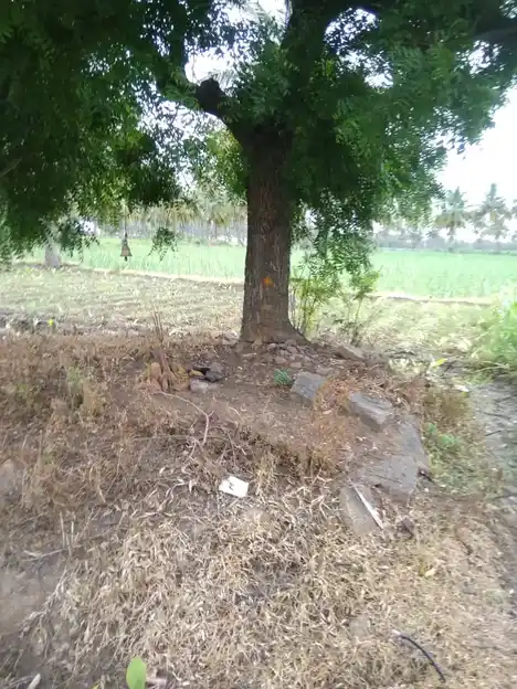 Arulmigu Pillaiyar Temple, Pattukanampatti - 636905