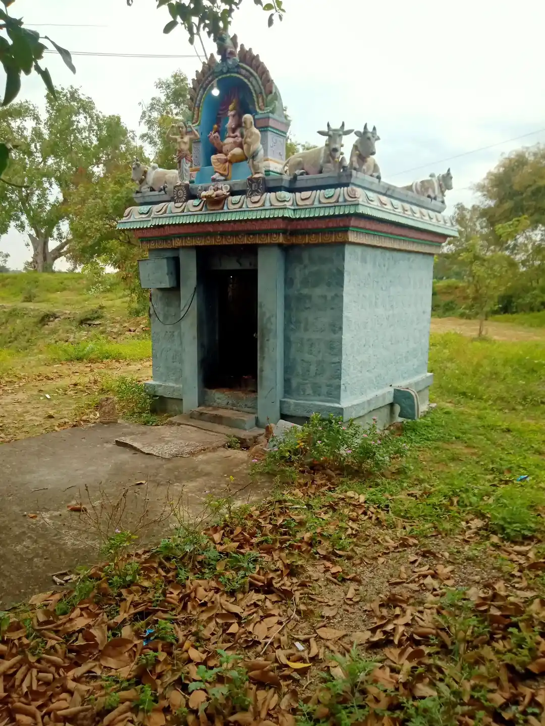 Arulmigu Pillaiyar Temple, Pazhaiyasiruvangur - 606206