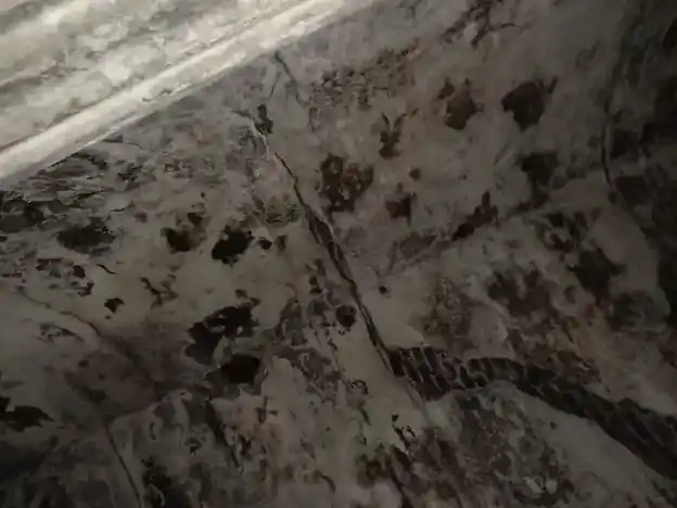 Arulmigu Pillaiyar Temple, Puduagraharam - 613201 அருள்மிகு விநாயகர் திருக்கோயில், Puduagraharam - 613201, Thanjavur - Ancient Temple Architecture and History Image 4