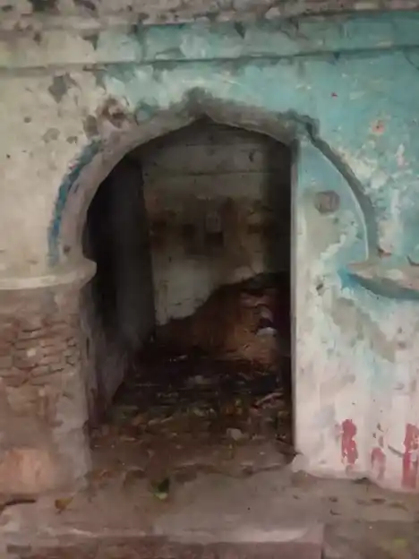 Arulmigu Pillaiyar Temple, Puduagraharam - 613201 அருள்மிகு விநாயகர் திருக்கோயில், Puduagraharam - 613201, Thanjavur - Ancient Temple Architecture and History Image 8