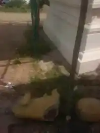 Arulmigu Pillaiyar Temple, Puduppalaiyam - 636306 அருள்மிகு பிள்ளையார் திருக்கோயில், Puduppalaiyam - 636306, Salem - Ancient Temple Architecture and History Image 3