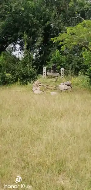 Arulmigu Pillaiyar Temple, Pulippatti - 622402 அருள்மிகு பிள்ளையார் திருக்கோயில், Pulippatti - 622402, Pudukkottai - Ancient Temple Architecture and History Image 3