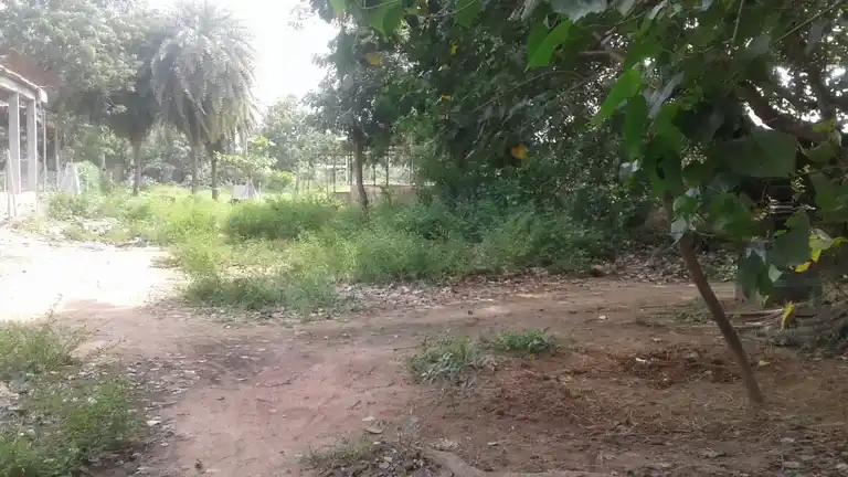 Arulmigu Pillaiyar Temple, Puliyur - 607302 Temple