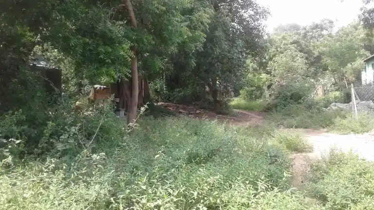 Arulmigu Pillaiyar Temple, Puliyur - 607302 Arulmigu Pillaiyar Temple, Puliyur - 607302, Cuddalore - Ancient Temple Architecture and History Image 3