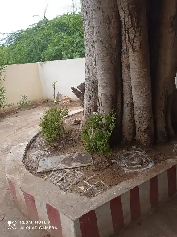 Arulmigu Pillaiyar Temple, Puthu Aarkadu - 613104 அருள்மிகு பிள்ளையார் திருக்கோயில், Puthu Aarkadu - 613104, Thanjavur - Ancient Temple Architecture and History Image 3