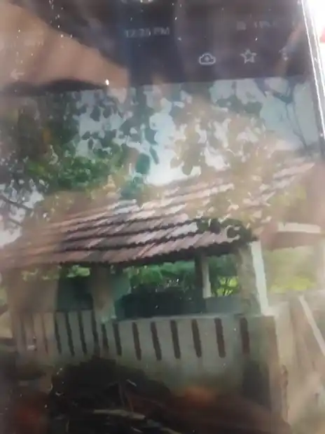 Arulmigu Pillaiyar Temple, Thanikondaan - 614619 அருள்மிகு பிள்ளையார் திருக்கோயில், Thanikondaan - 614619, Pudukkottai - Ancient Temple Architecture and History Image 2