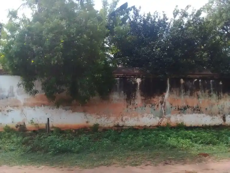 Arulmigu Pillaiyar Temple, Vengalur - 622503 அருள்மிகு பிள்ளையார் திருக்கோயில், Vengalur - 622503, Pudukkottai - Ancient Temple Architecture and History Image 7