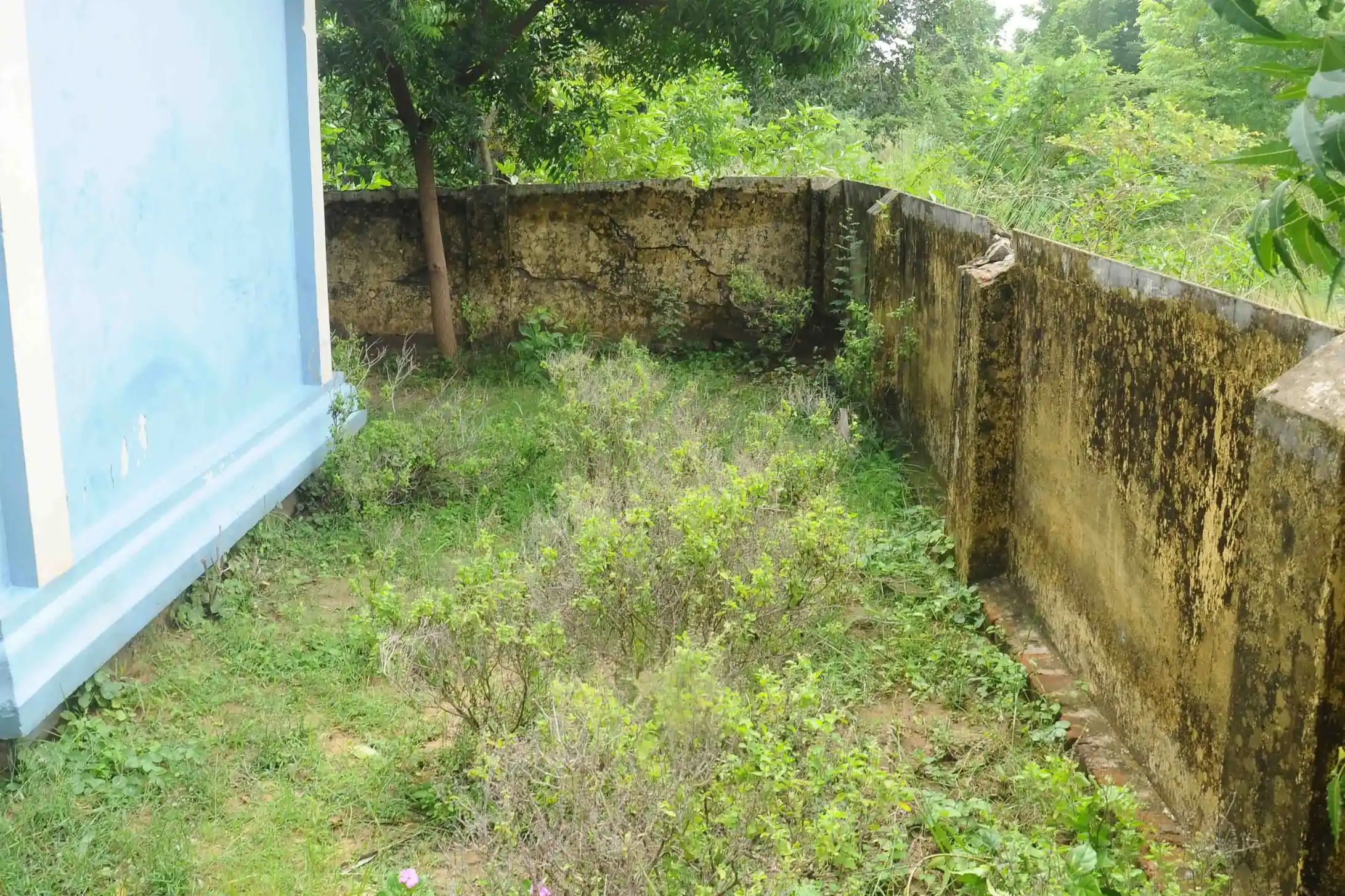 Arulmigu Pillaiyar Temple, Vilangu Vasal - 609306 Arulmigu Pillaiyar Temple, Vilangu Vasal - 609306, Mayiladuthurai - Ancient Temple Architecture and History Image 4