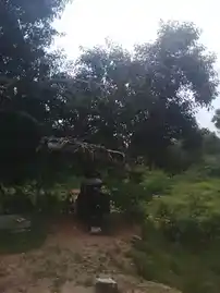 Arulmigu Pillaiyarmel Karuppar Temple, Sadayampatti - 622002 அருள்மிகு பிள்ளையார் மேல்கருப்பர் திருக்கோயில், Sadayampatti - 622002, Pudukkottai - Ancient Temple Architecture and History Image 4